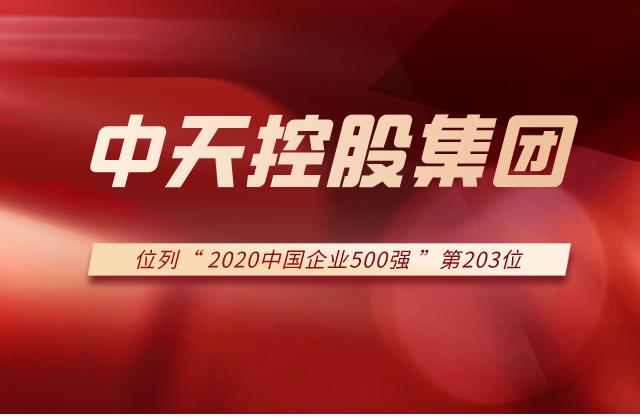 304am永利集团列2020中国企业500强第203位！
